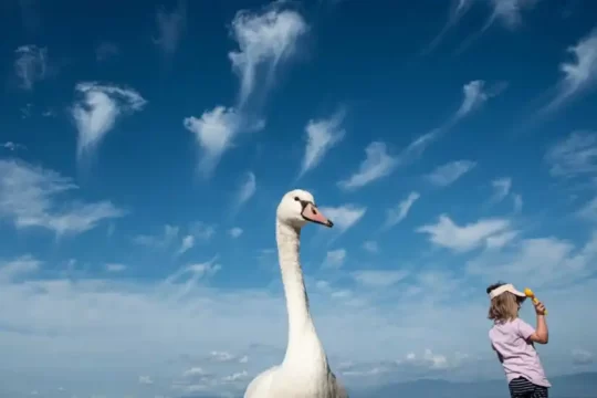 Lake Garda Photo Challenge - Tema "Lago di Garda" - Secondo classificato - Gianfranco Salsi