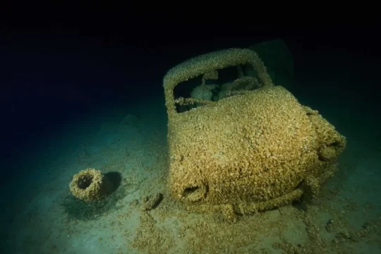 Lake Garda Photo Challenge - Tema "Margini" - Primo classificato - Giampaolo Codispoti