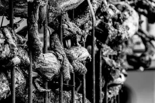 Lake Garda Photo Challenge - Tema "Margini" - Secondo classificato - Dario Benevento