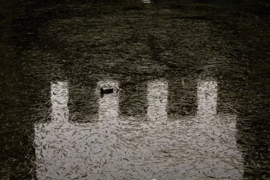 Lake Garda Photo Challenge - Premio speciale Patrimonio storico e archeologico - Susanna Rae Reddy