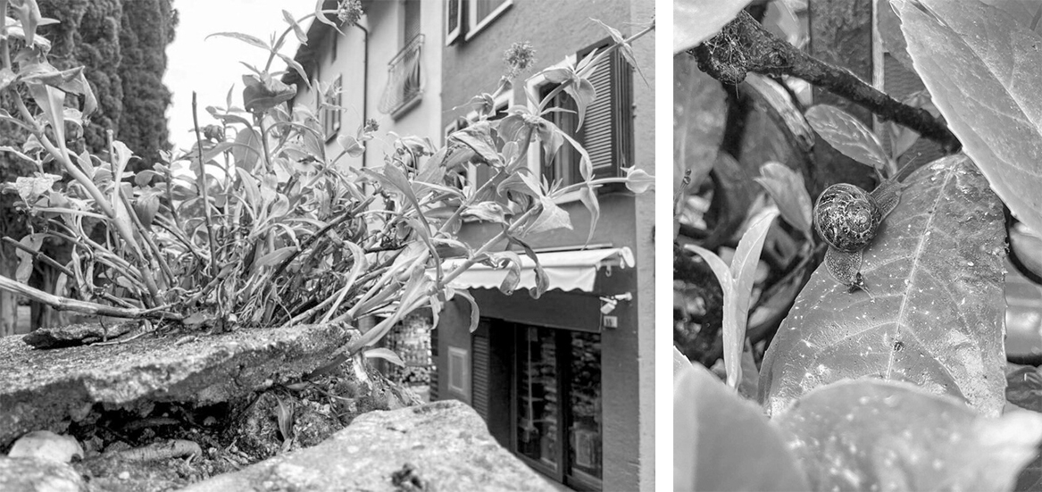 Ph. Daniele Belfiore
